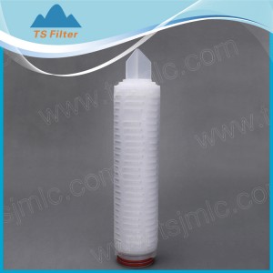 Polyethersulfone (PES) membrane Pleated Filter Cartridge